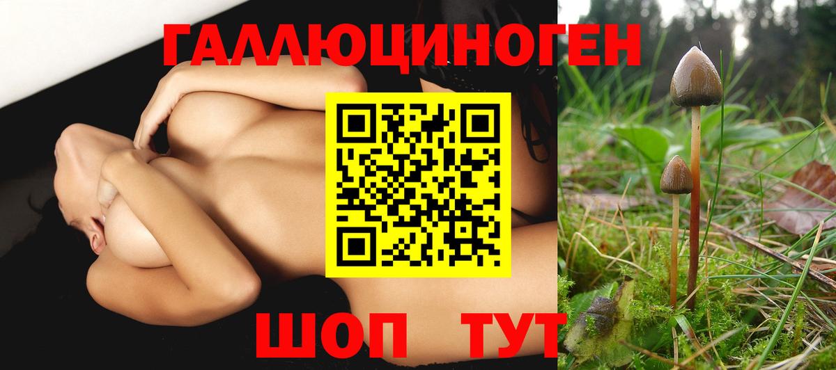 Псилоцибиновые грибы Psilocybine cubensis  Псилоцибиновые грибы мухоморы  Нижневартовск  Вход с VPN 